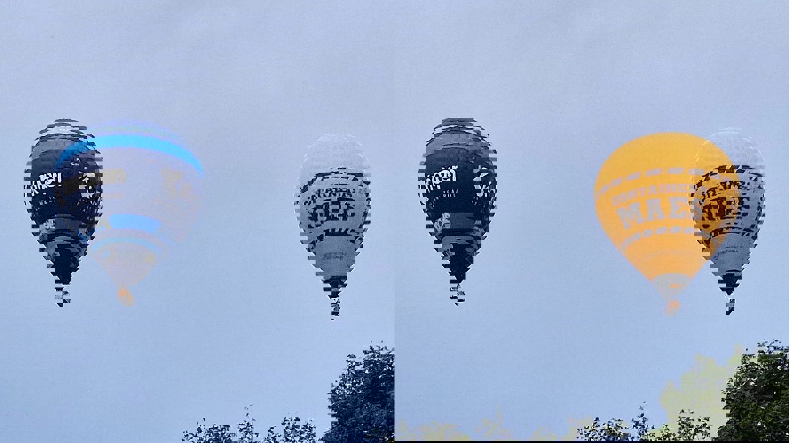 Aef01dee 9B6e 498C 8Fc0 33F4db6e8063