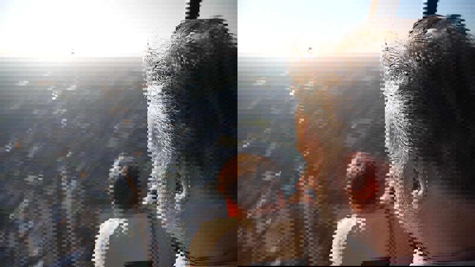 Ballonvaart Vorselaar