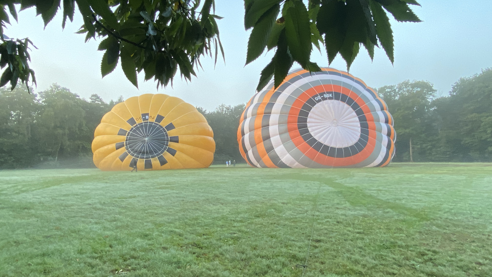 Ballonvaart Rijkevorsel