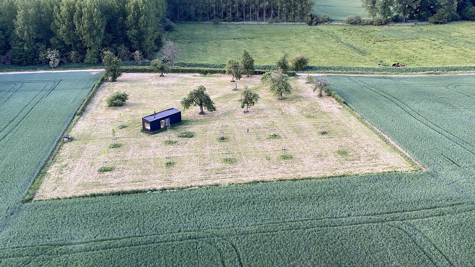 Ballonvlucht Zoutleeuw