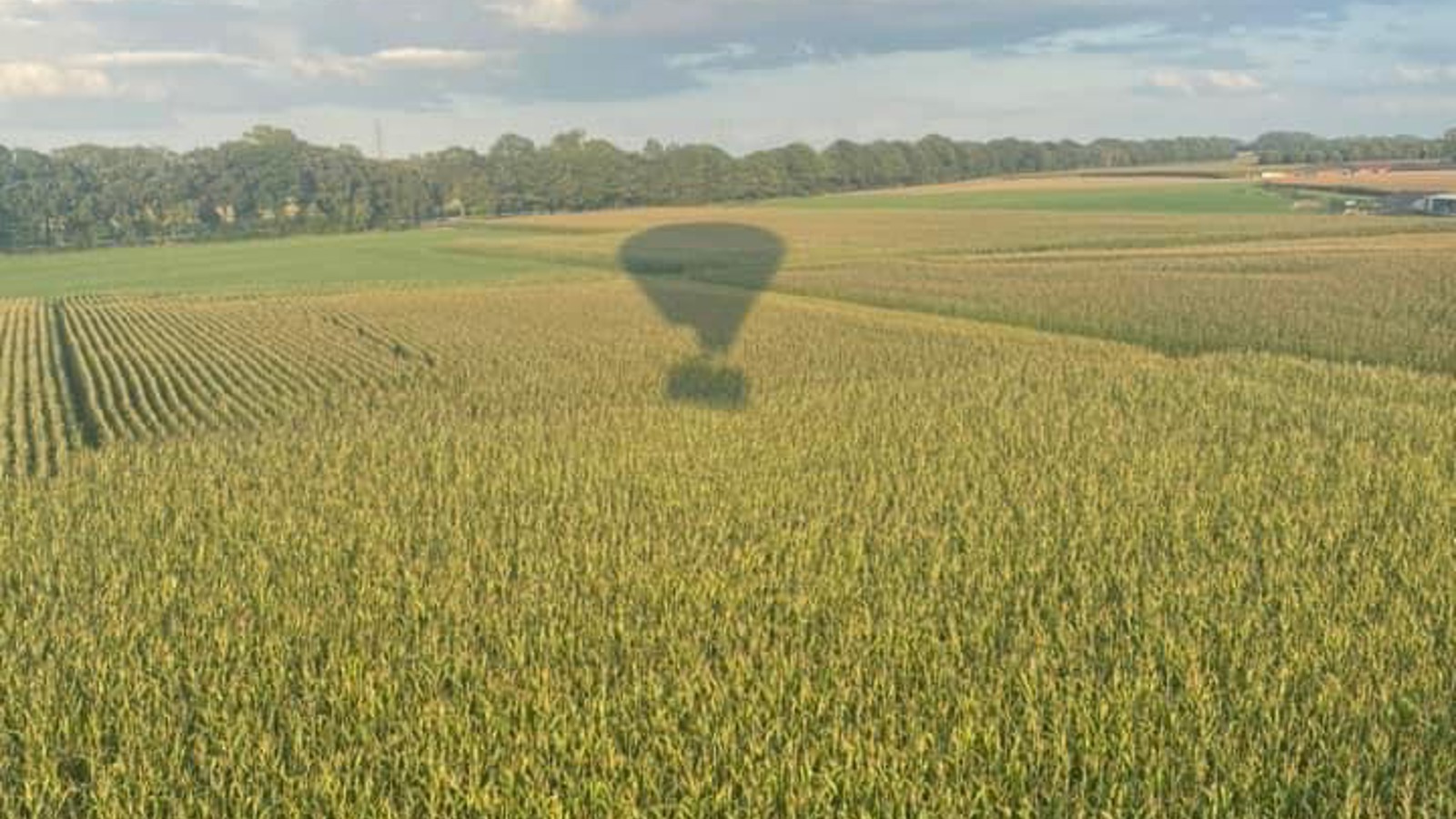 Ballonvlucht Kortessem