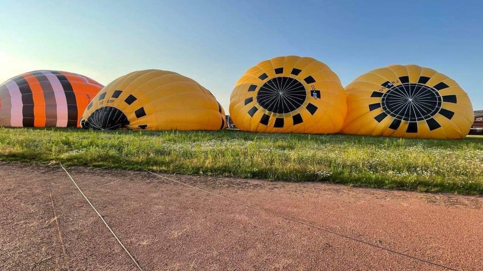 Cadeaubon ballonvaart Begijnendijk