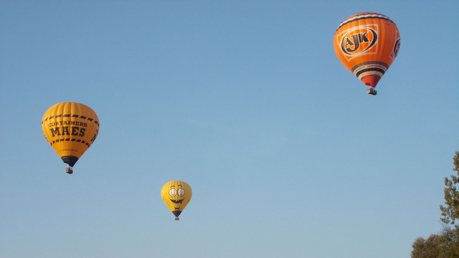 Cadeaubon Ballonvaart in Bilzen