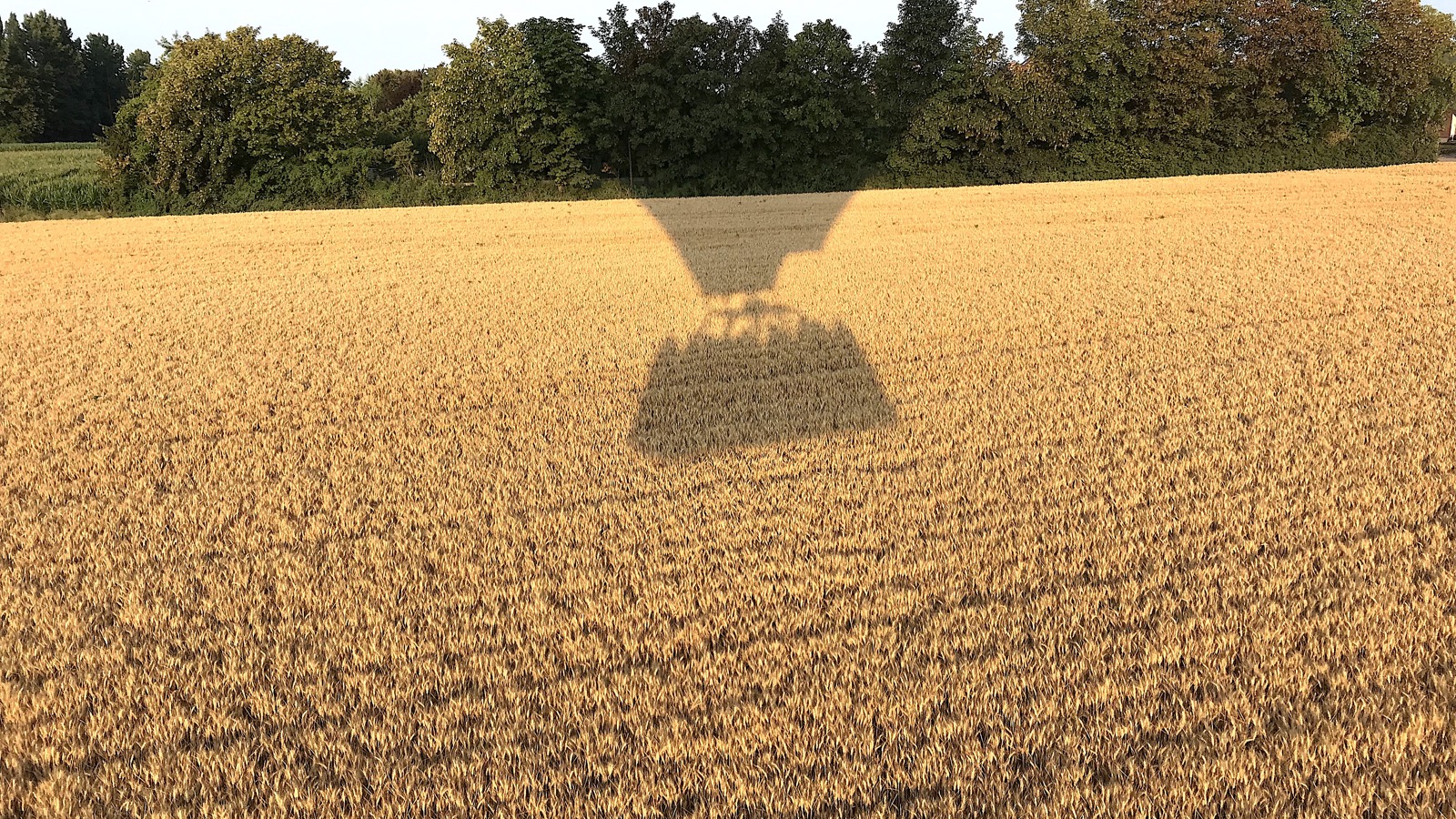 Ballonvaart Zoutleeuw