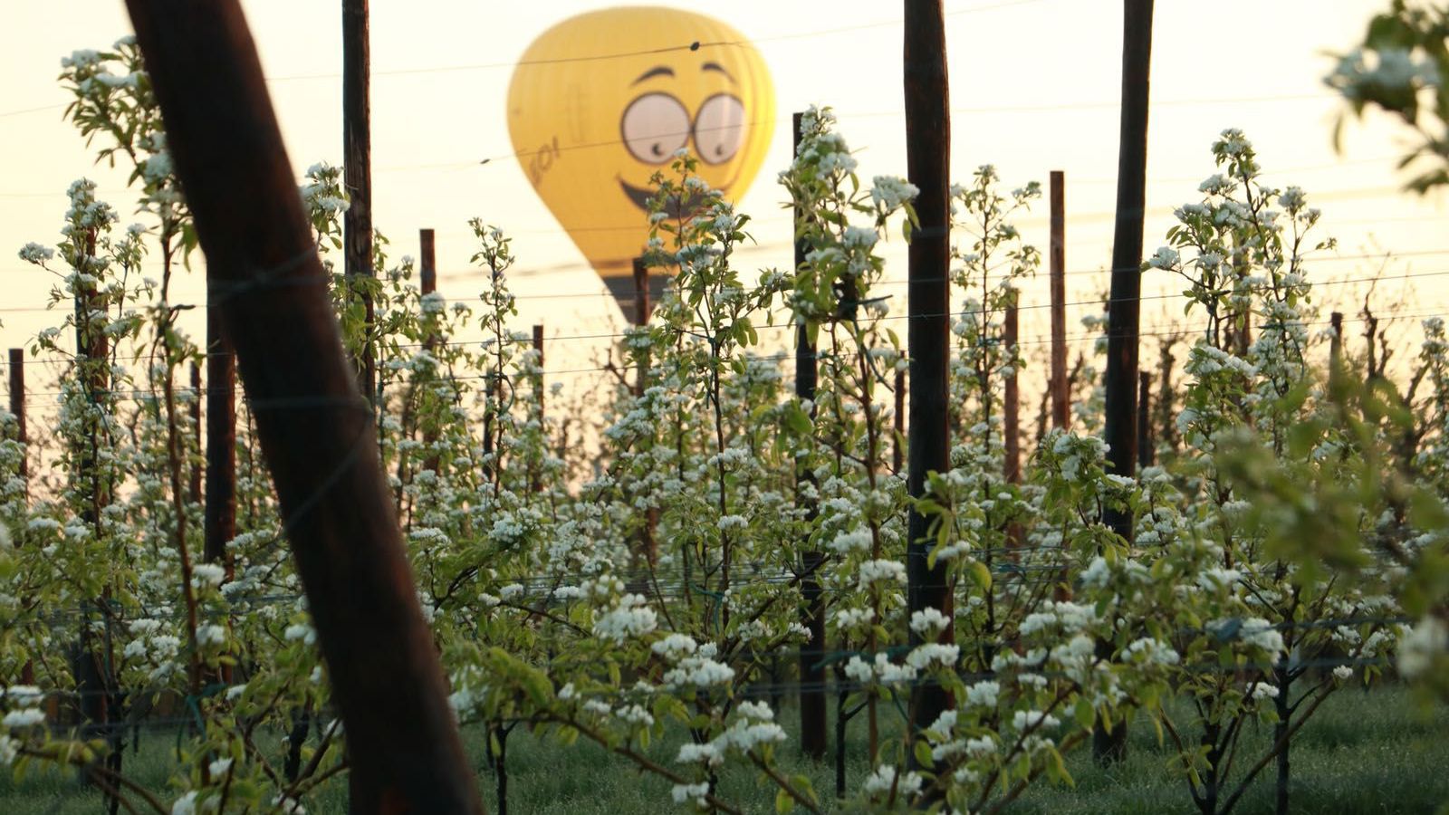 Luchtballonvaart Borgloon