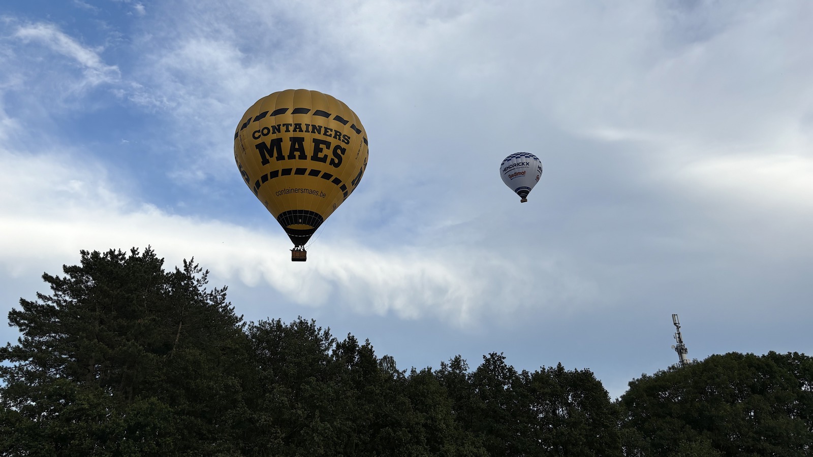 Ballonvaren Alken