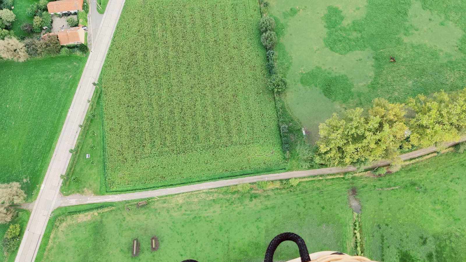 Ballonvlucht in de zuiderkempen