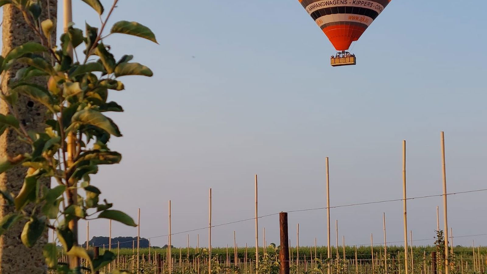 Ballonvaren Hamont-Achel
