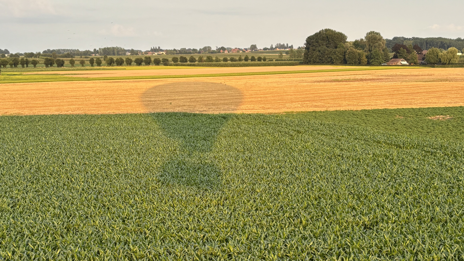 Ballonvaren Gingelom