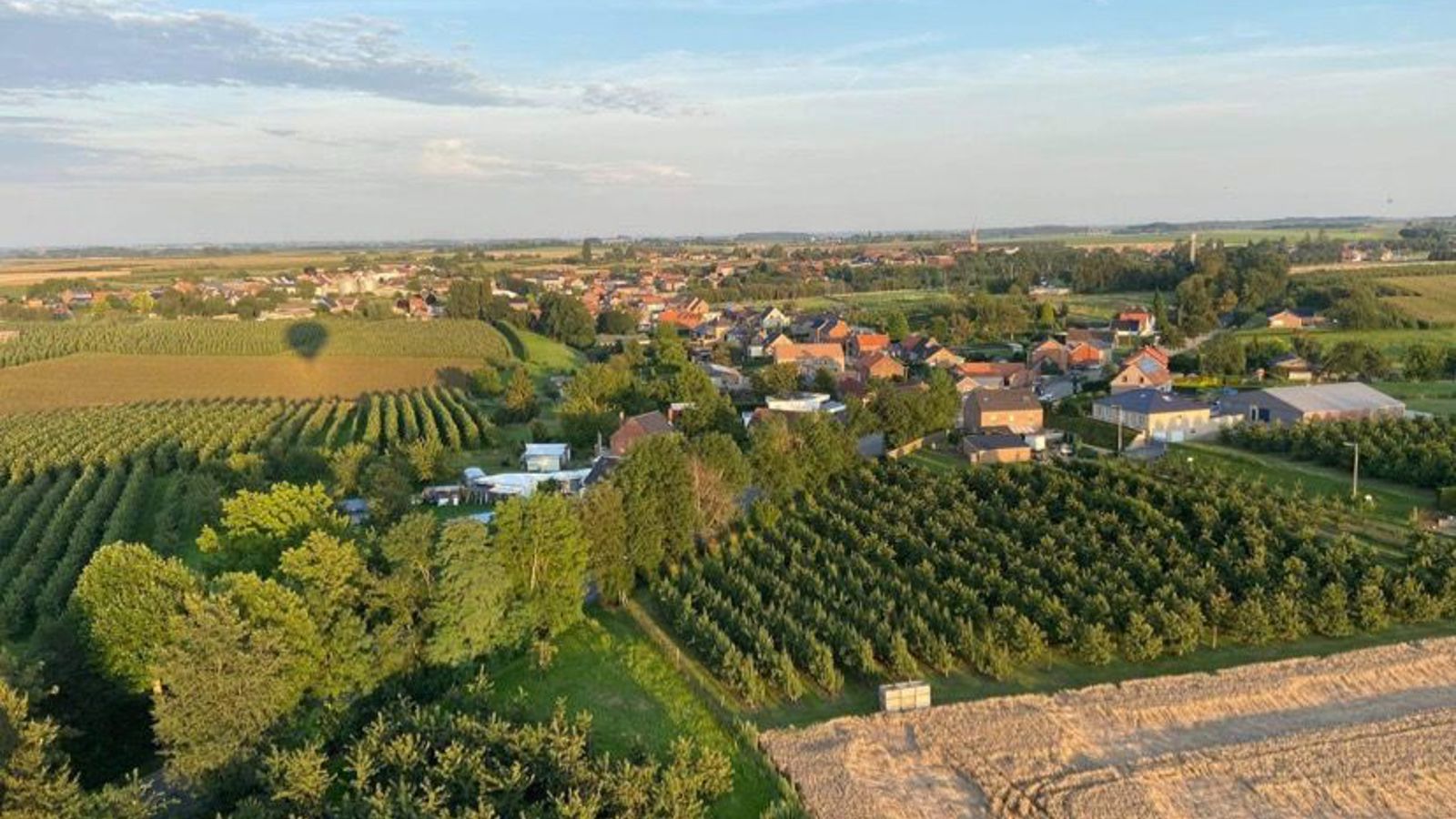 Cadeaubon ballonvaart Zonhoven